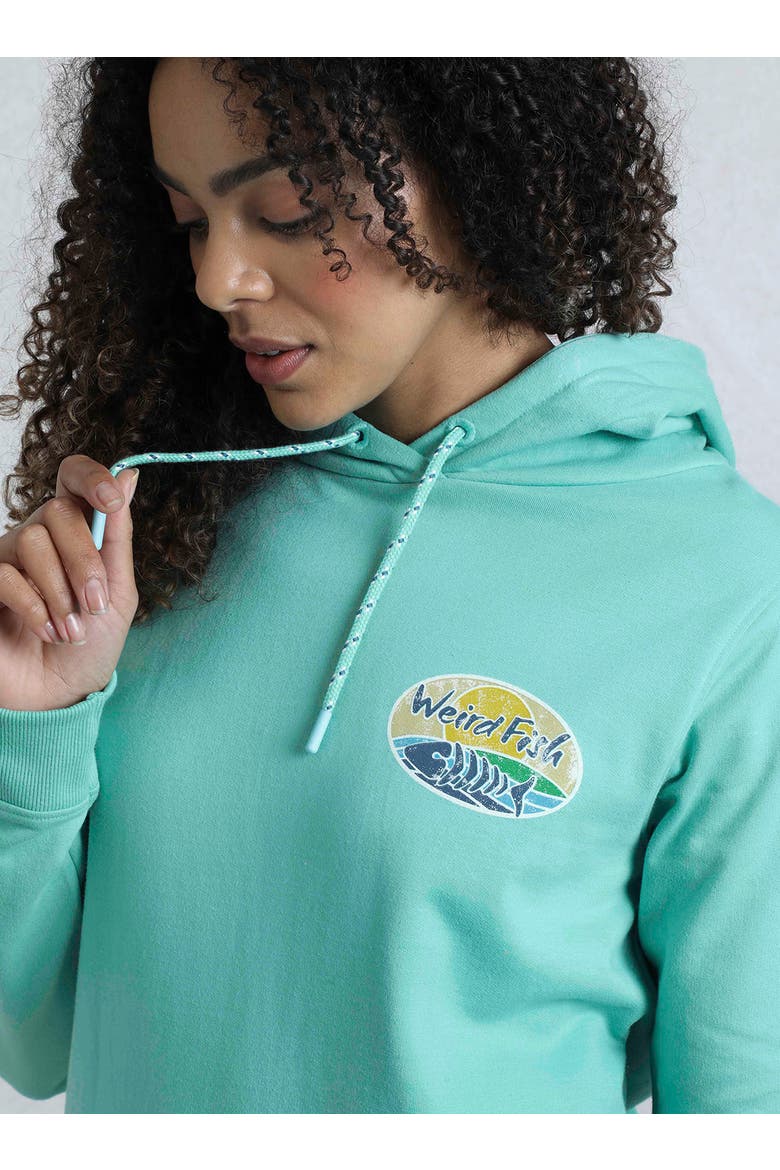 Back Print Popover Hoodie, Alternate, color, Aqua Marine