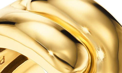 Pamela Zamore Holos 18k Gold Wide Band In Gold