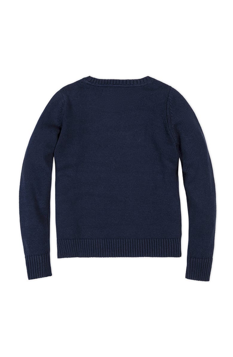 Hope & Henry Organic Crew Neck Flag Sweater, Alternate, color, Navy Flag