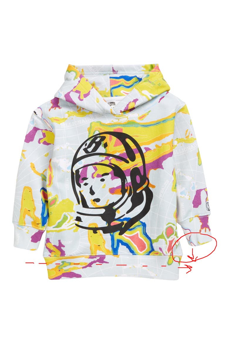Kids' Terra Logo Hoodie, Main, color, PALE BLUE