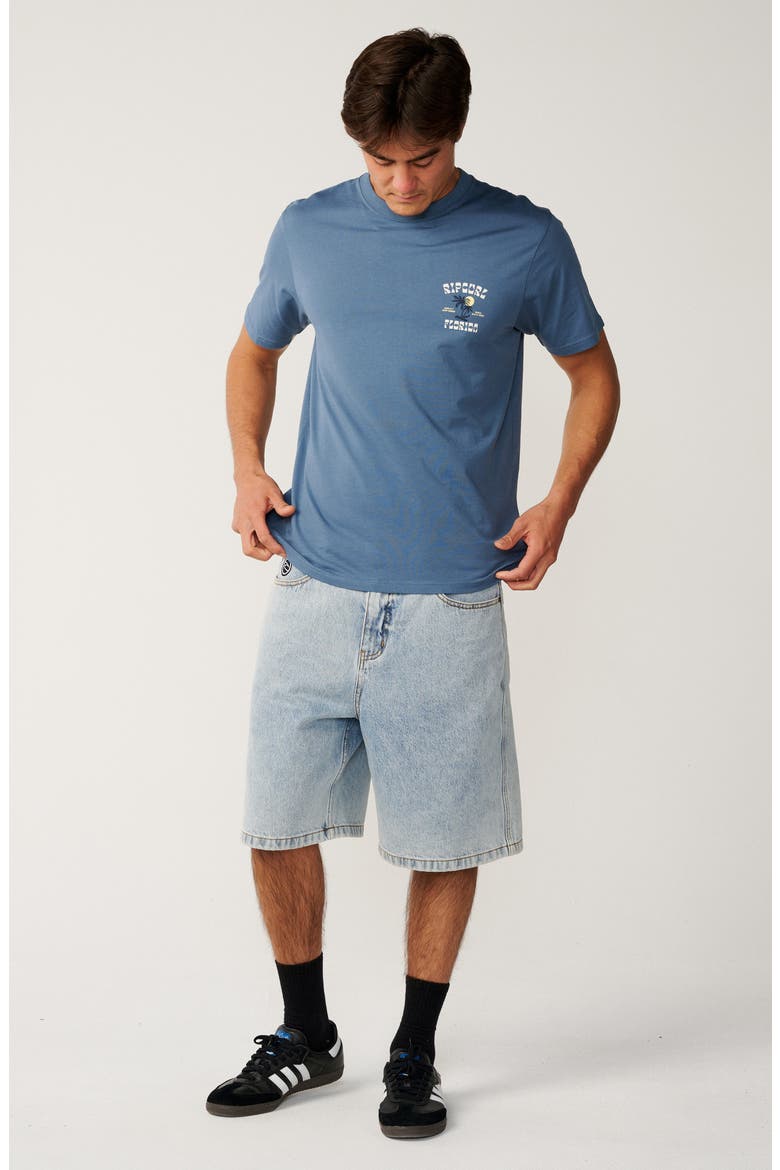 Two Palms Desto Cotton Graphic T-Shirt, Alternate, color, BLUEFIN FLORIDA