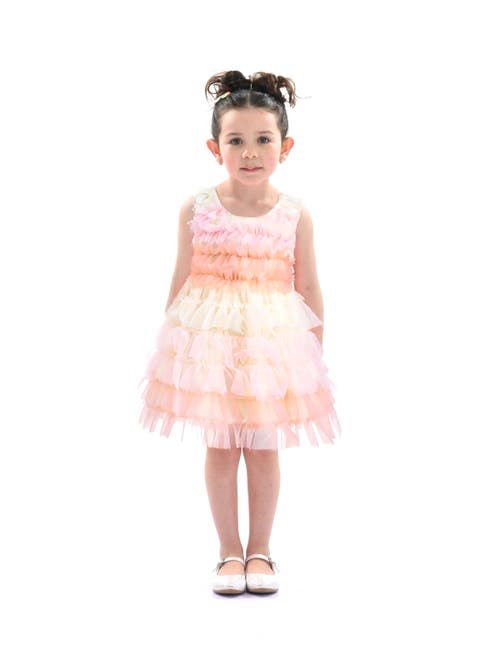 Tulleen Ruffle Layered Tulle Dress