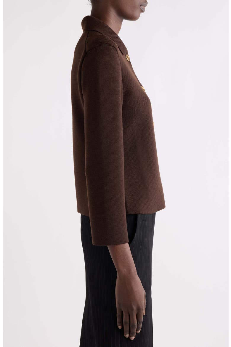 Virgin Wool Polo Cardigan, Alternate, color, EBENE