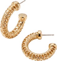 AREA STARS Hema Textured Hoops