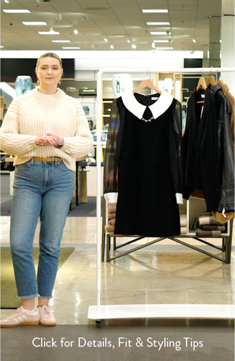 Embellished Collar Long Sleeve Minidress, sales video thumbnail