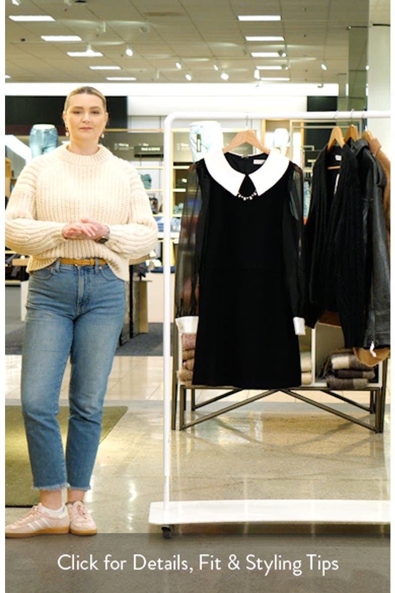 Embellished Collar Long Sleeve Minidress video