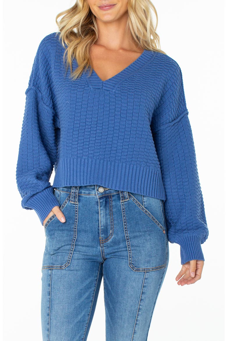 Study Hall V-Neck Cotton Blend Sweater, Main, color, DUTCH BLUE