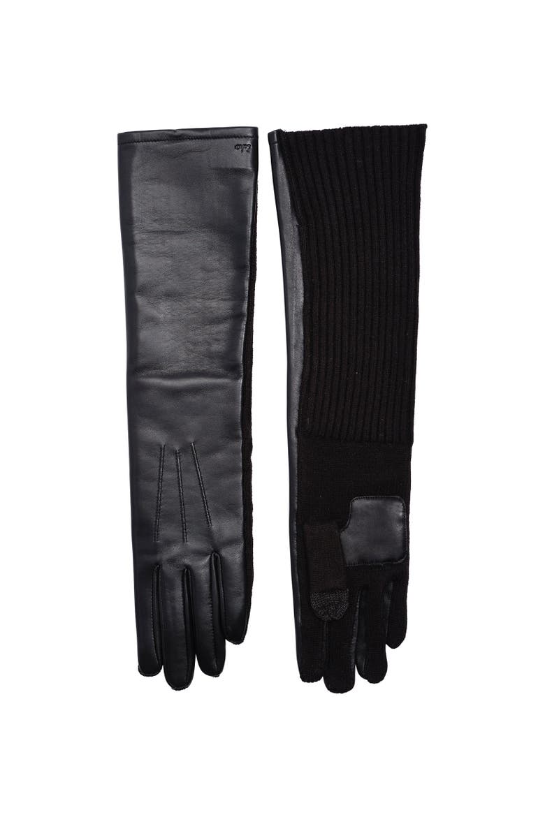 Fully Long Leather Glove, Alternate, color, Black