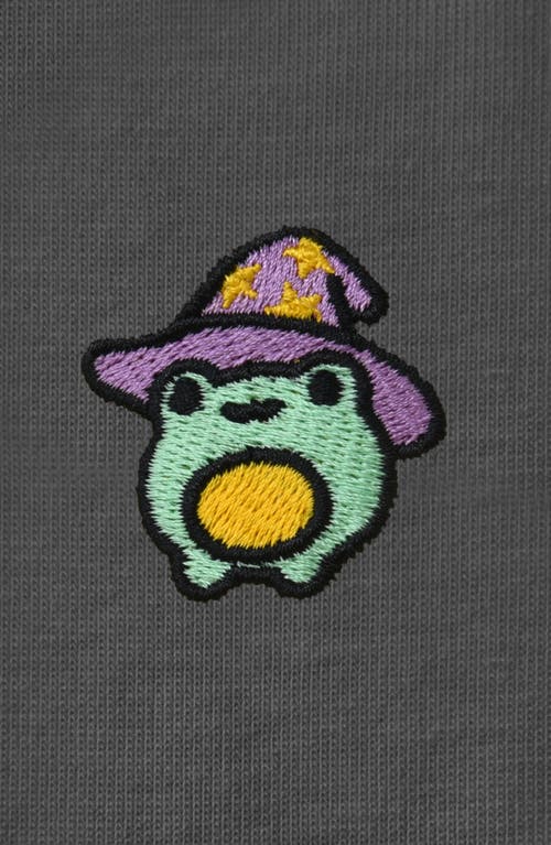 Dalix Sorcerer Frog Tee In Asphalt