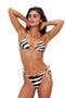  Wild Zebra