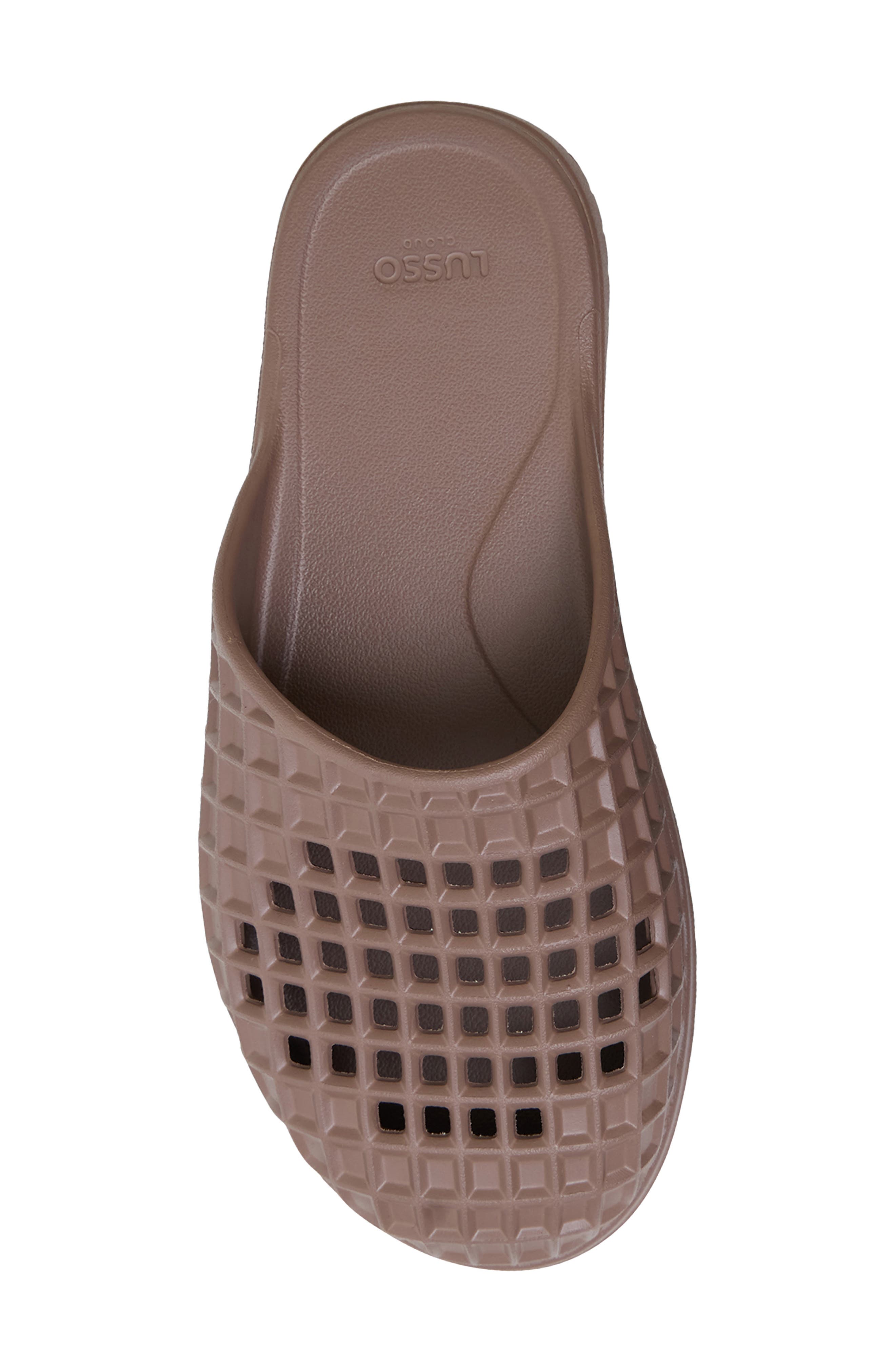 Rosa Slide, Alternate, color, MALT