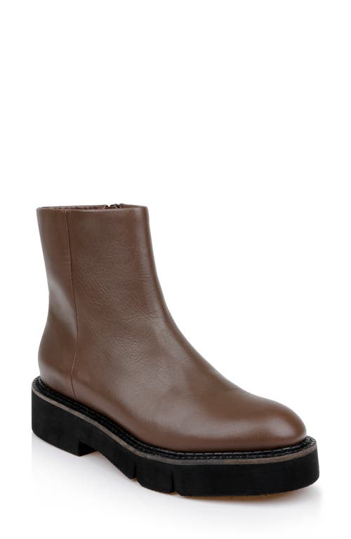 Clergerie Clover Leather Chelsea Boots In Brown