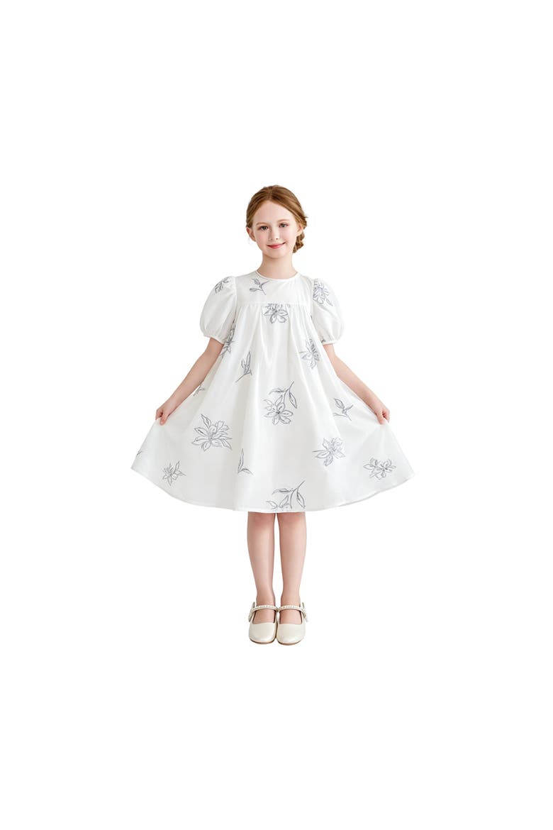 Whisper Embroidered Puff-Sleeve Dress, Alternate, color, White