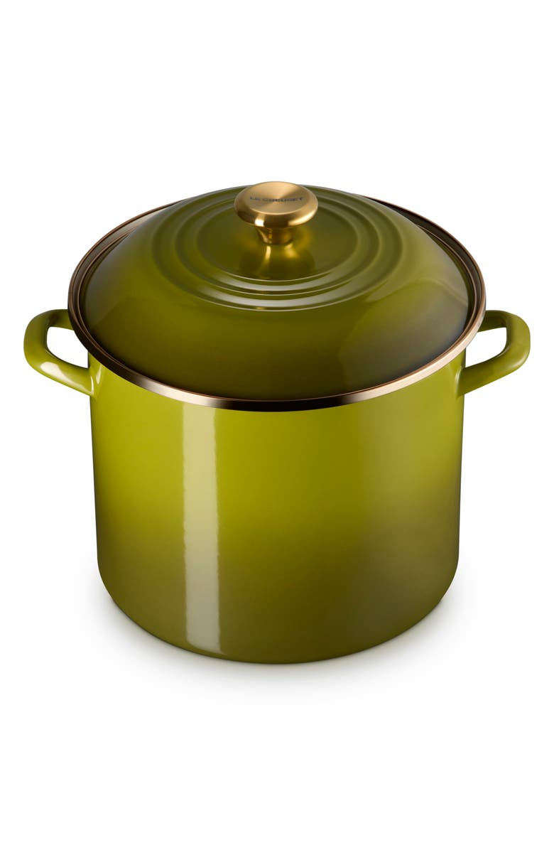 Le Creuset Enameled Stainless Steel Stockpot, Alternate, color, Olive