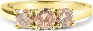 Haus of Brilliance 10K Yellow Gold 1.00 Cttw Champagne Diamond 3-Stone Band Ring