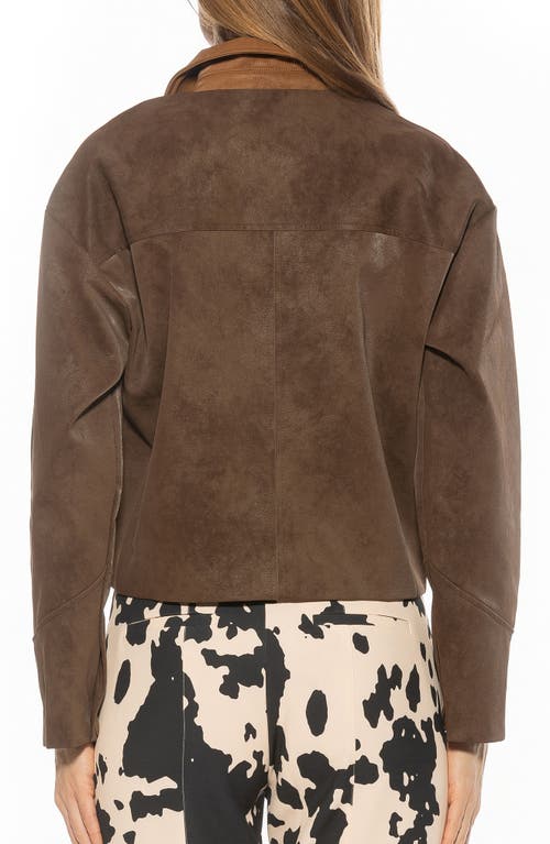 Alexia Admor Sorell Utility Jacket In Brown