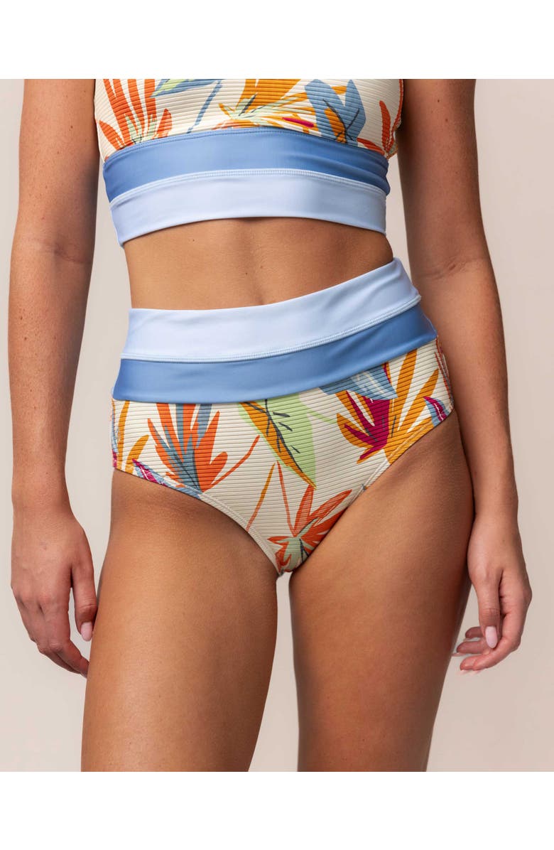 Nani Colorblock Swim Bottom, Main, color, Eden