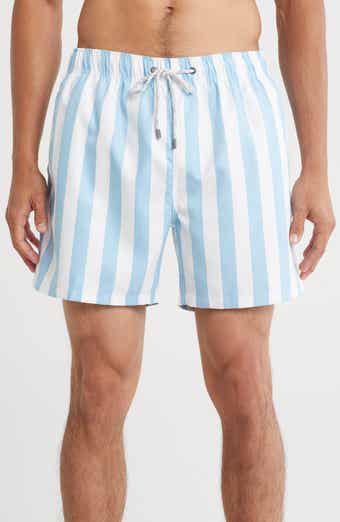 Vintage Summer Volley Swim Trunks
