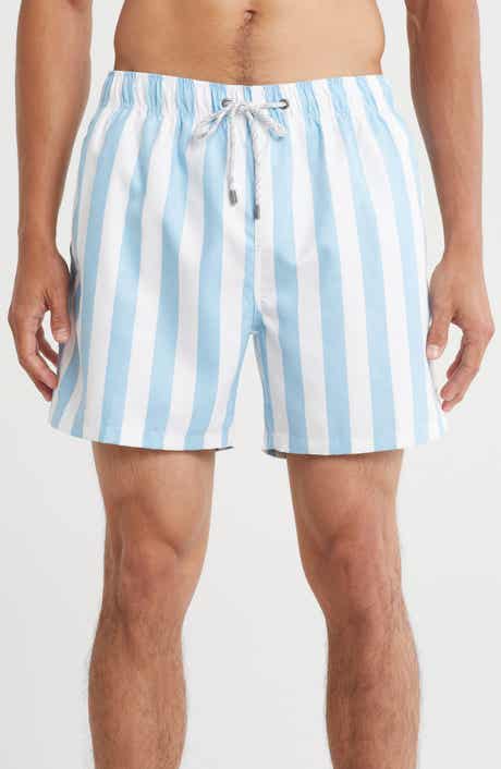Vintage Summer Volley Swim Trunks