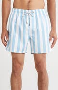 Vintage Summer Volley Swim Trunks