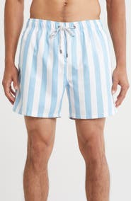 Vintage Summer Volley Swim Trunks