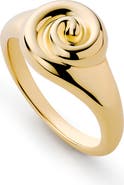 Ana Luisa Gold Signet RIng - Ariel Ring