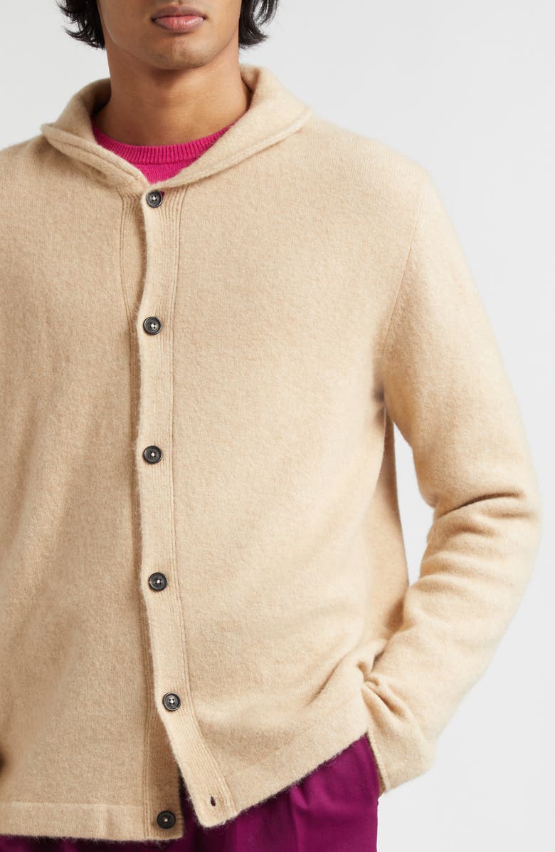Massimo Alba Scoop Camel Blend Cardigan, Alternate, color, 