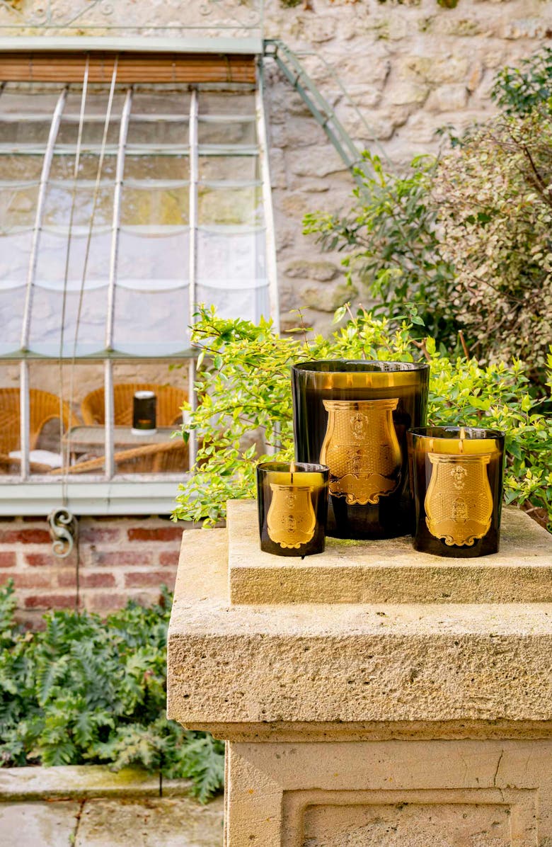 Trudon Madeleine Floral Leather Classic Candle, Alternate, color, 