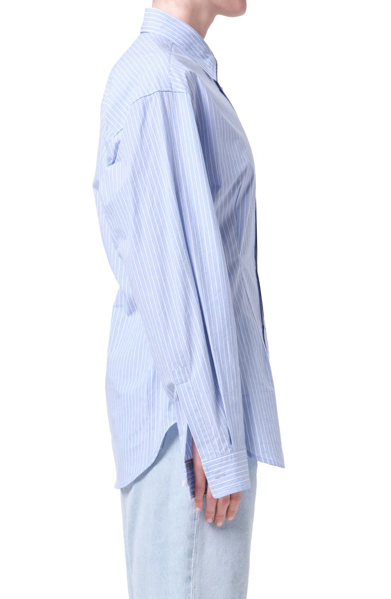 AGOLDE Cinch Stripe Button-Up Shirt, Alternate, color, Webb Stripe