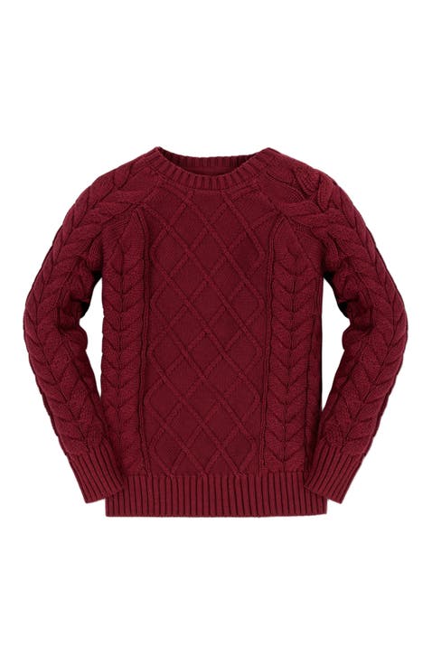 Baby Boys' Organic Raglan Fisherman Sweater, Infant