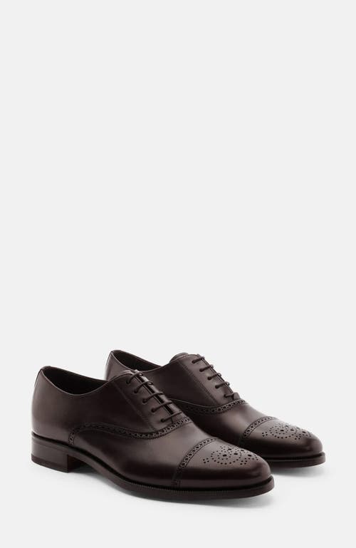 Scarosso Silvio Oxfords