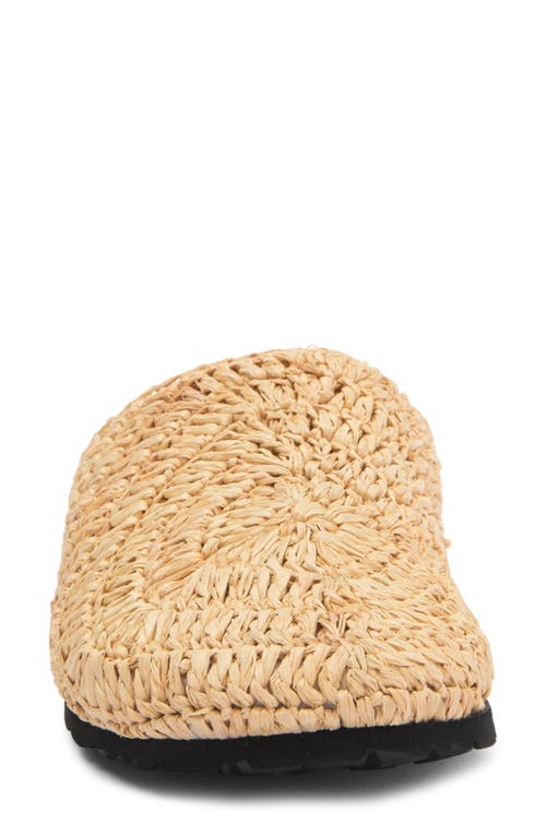Staud Dia Raffia Mule In Natural