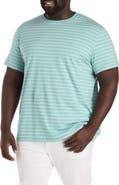 Nautica Big & Tall Striped T-Shirt