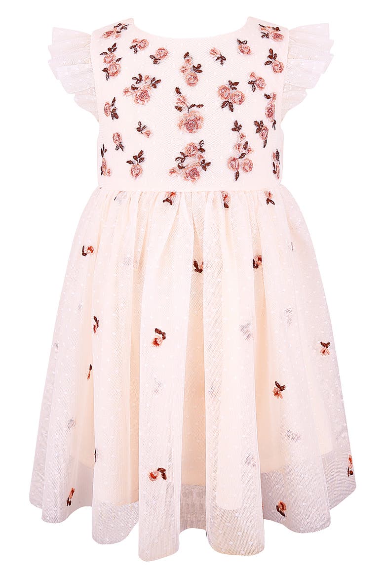 Embroidered Flutter Sleeve Mesh Dress, Main, color, PEACH
