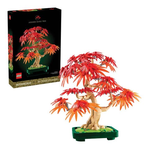 ® Japanese Red Maple Bonsai Tree - 10348