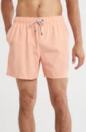 Vintage Summer Vintage Wash Volley Swim Shorts