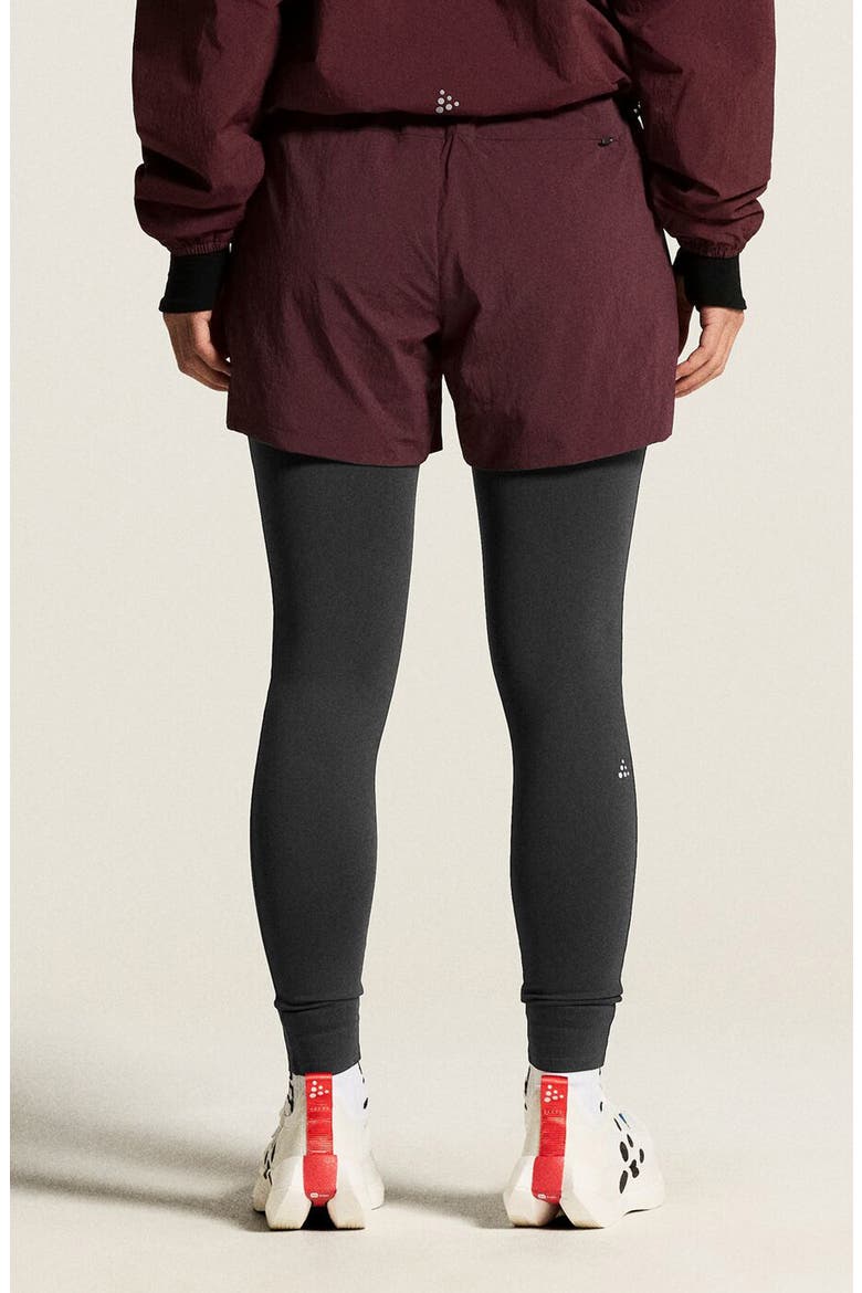 SubZ Insulated Performance Shorts, Alternate, color, DARK FIG