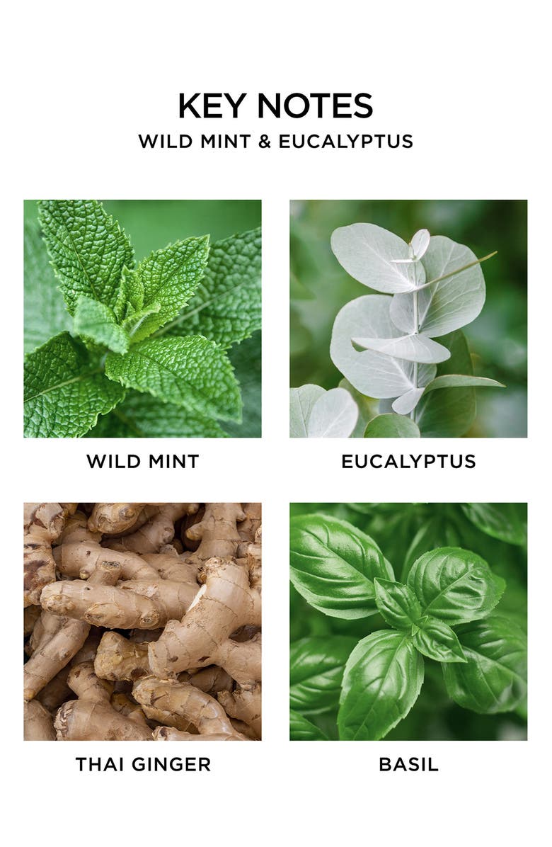 NEST New York Wild Mint & Eucalyptus Scented Classic Candle, Alternate, color,