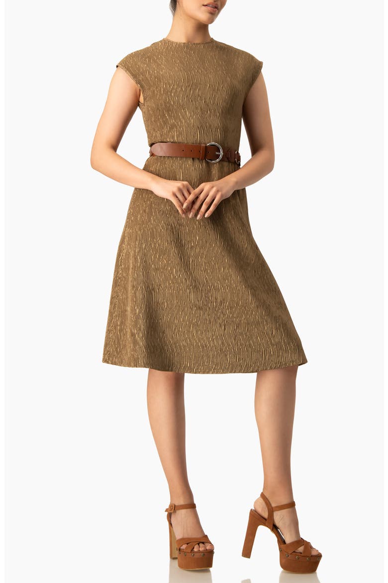 Textured Belted A-Line Dress, Cap Sleeve Fit-and-Flare with Buckle Belt, Alternate, color, Gold