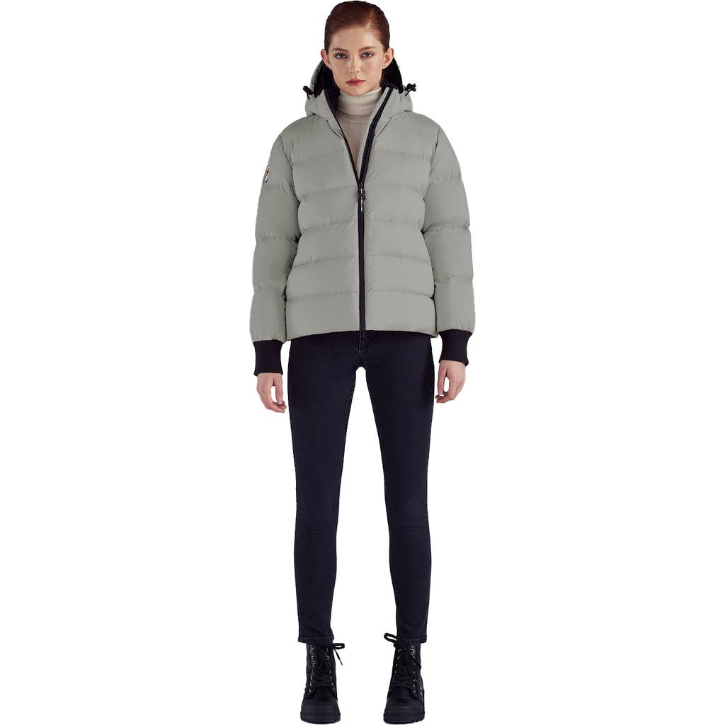 Triple F.a.t. Goose Puffer Down Jacket In Gray