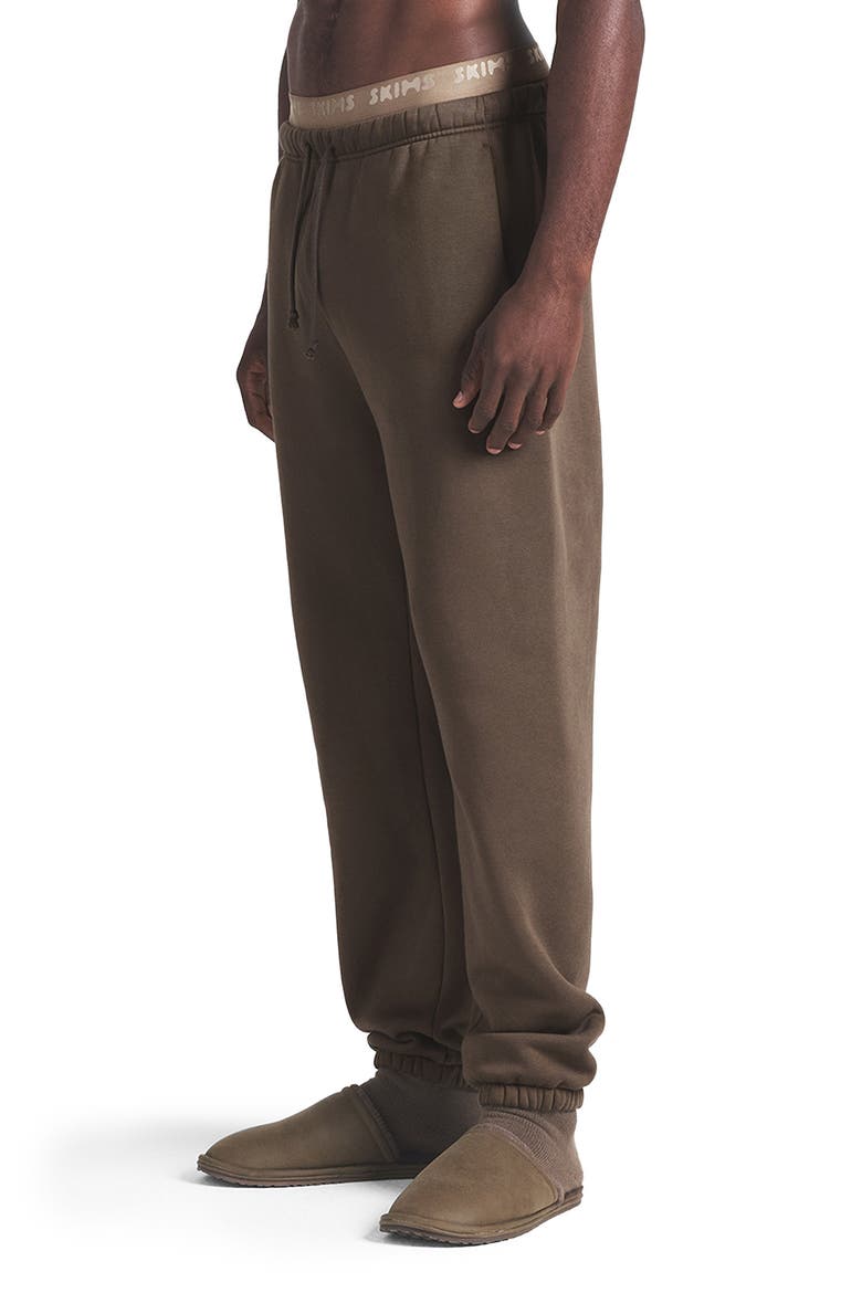 Fleece Lounge Relaxed Joggers, Alternate, color, DRIFTWOOD