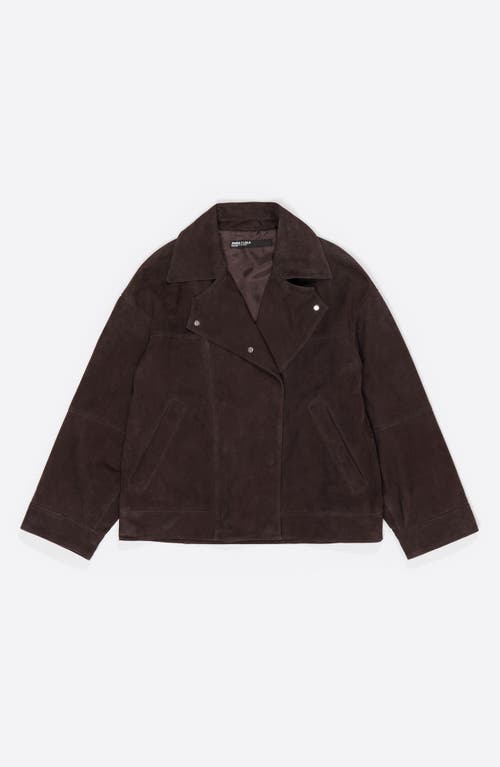 Bimba Y Lola Suede Double-breasted Jacket In Brown