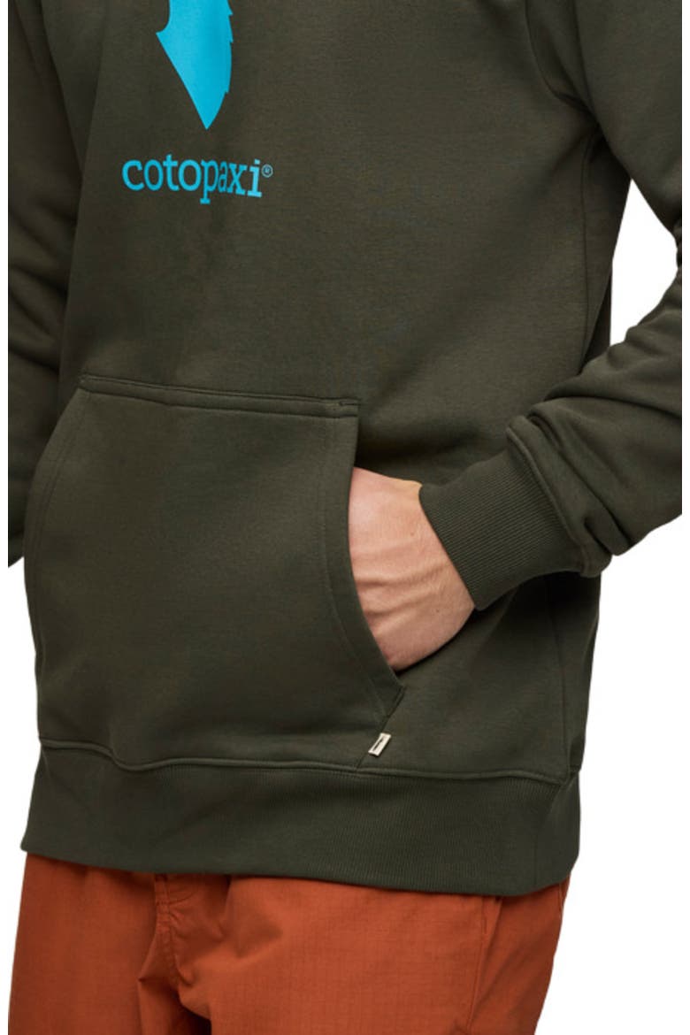 Llama Pullover Hoodie - Men's, Alternate, color, Woods