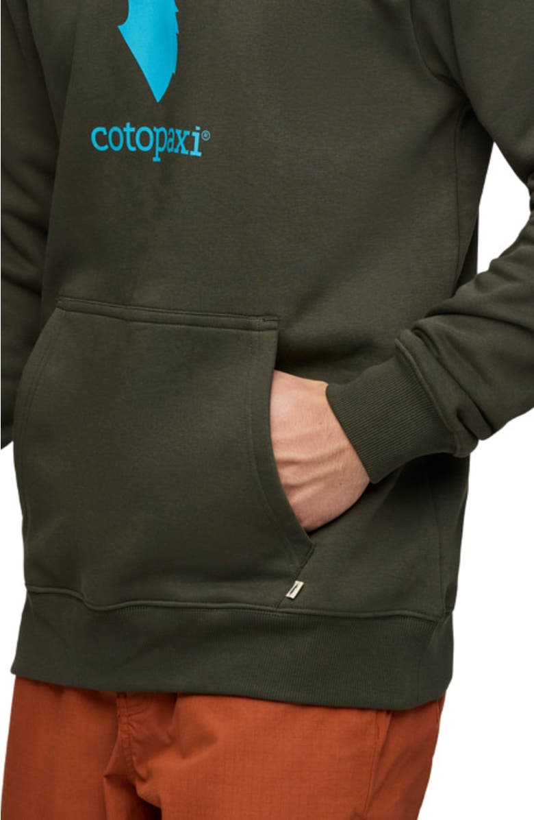 Cotopaxi Llama Pullover Hoodie - Men's, Alternate, color, Woods