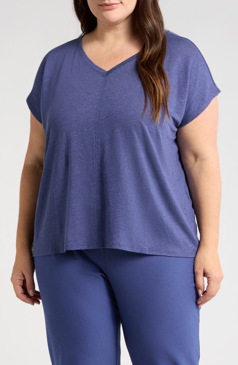 Eileen Fisher V-Neck Organic Linen T-Shirt, Main, color, Bluette