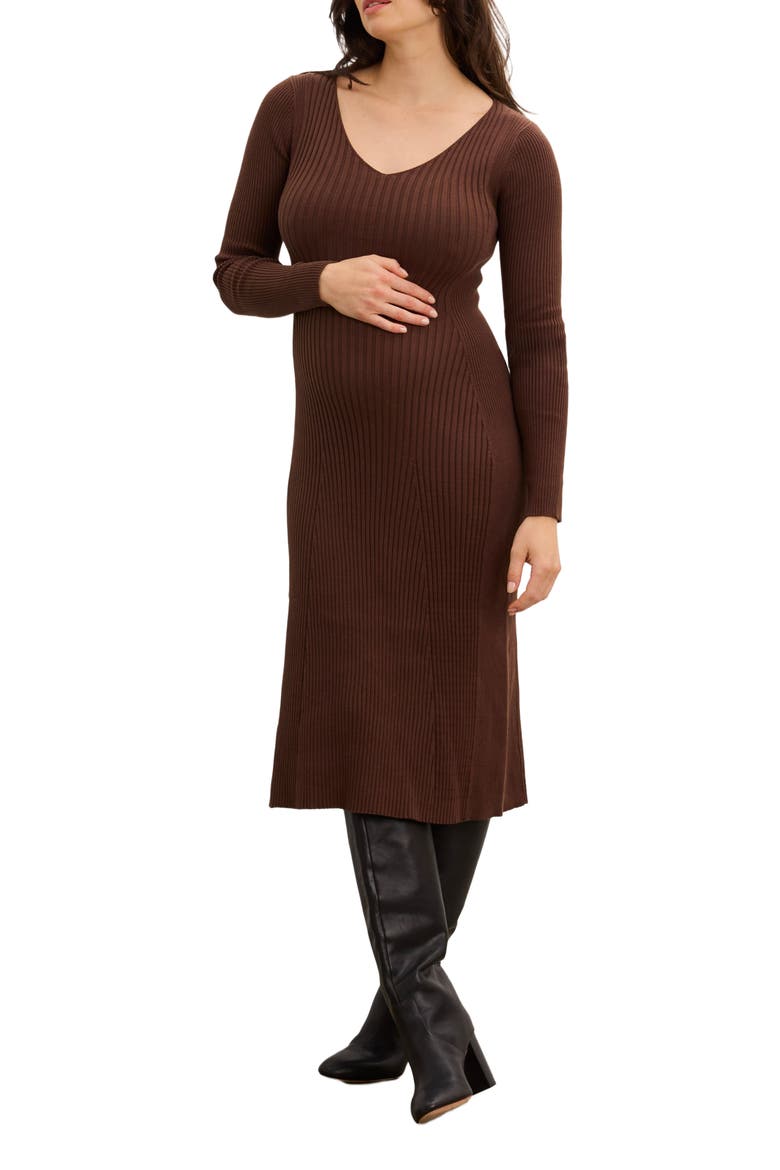 The Dasha Sweater Dress, Alternate, color, Chocolate