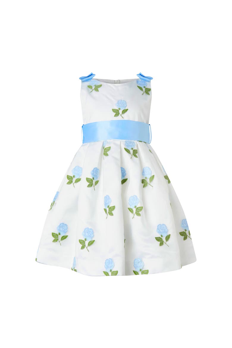 Rose Embroidered Organza Dress, Main, color, Blue