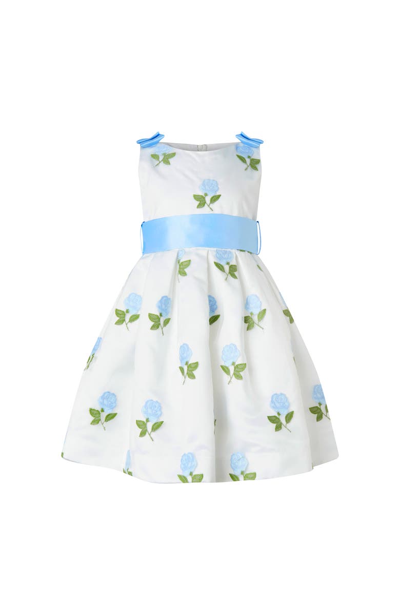 Rachel Riley Rose Embroidered Organza Dress, Main, color, Blue