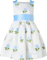 Rachel Riley Rose Embroidered Organza Dress