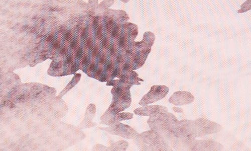 1.state Mock Neck Long Sleeve Mesh Top In Pink